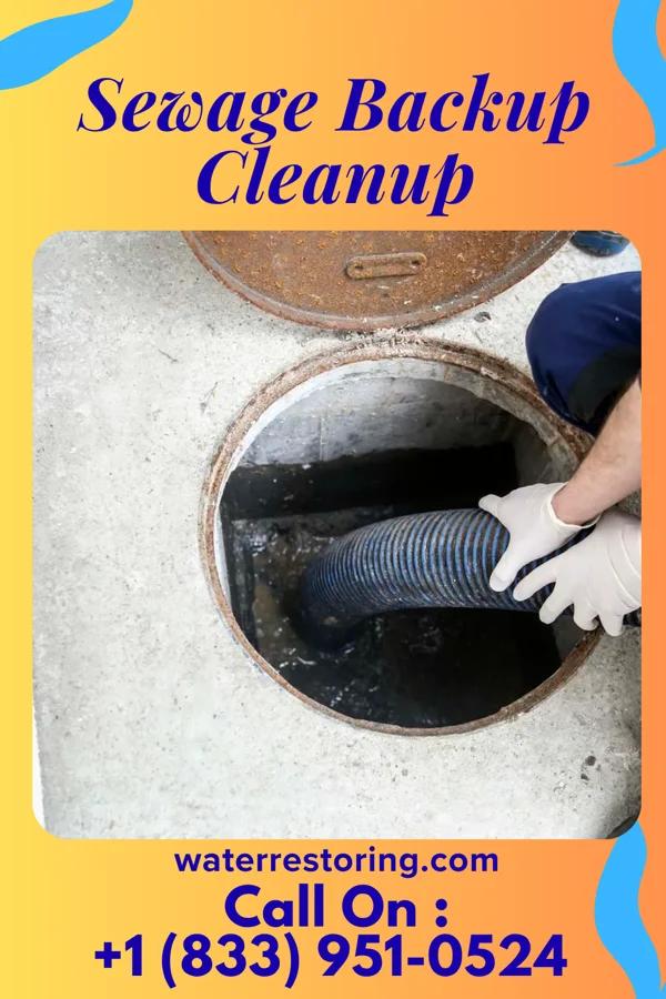 Sewage Backup Cleanup in North Barrington, IL