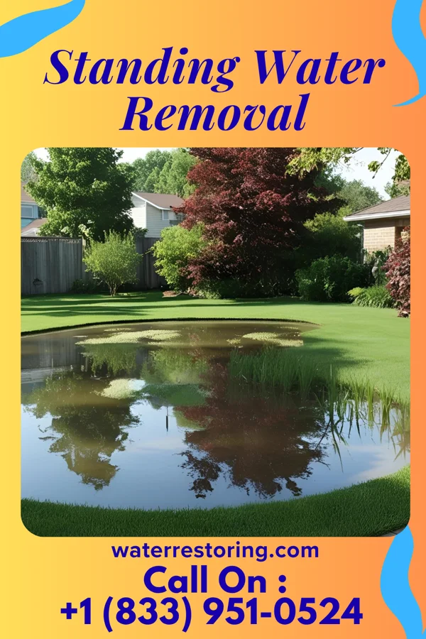Standing Water Removal in North Barrington, IL